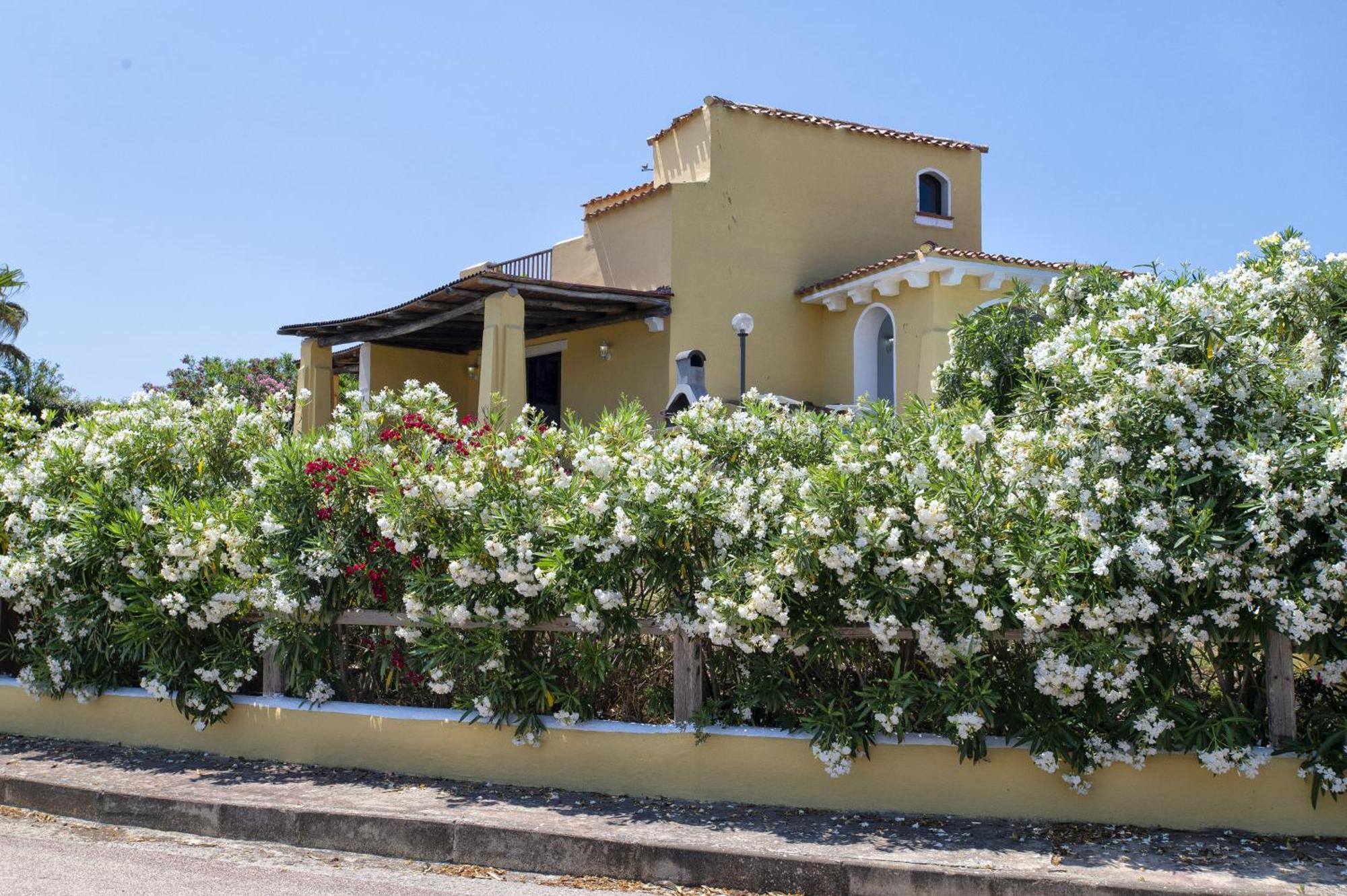 Villa Azzurra Stintino Exterior foto